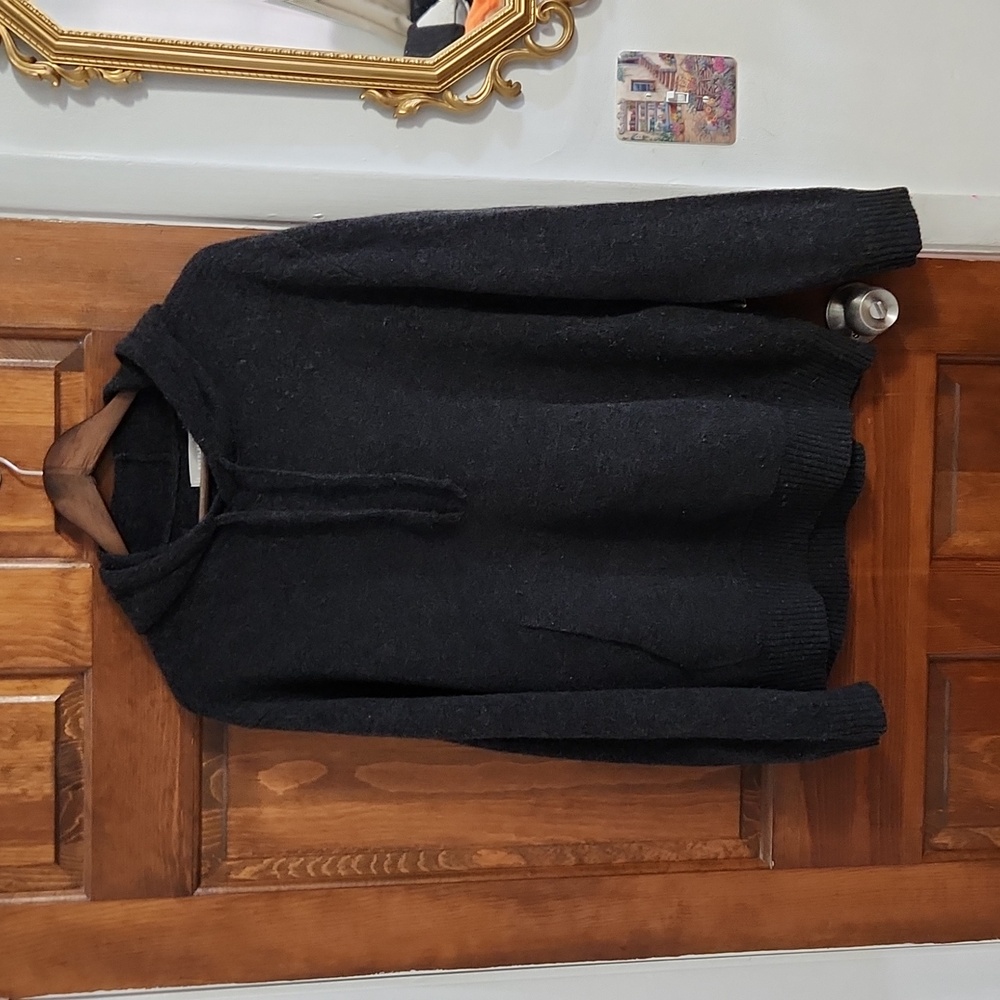 Everlane Felted Wool Hoodie